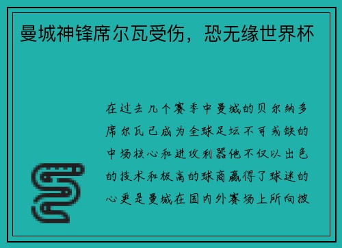 曼城神锋席尔瓦受伤，恐无缘世界杯